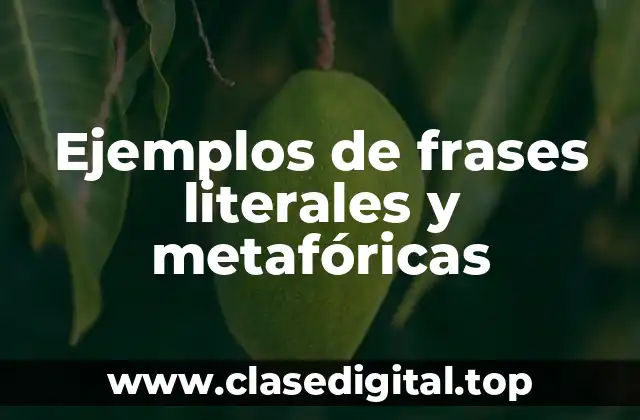Ejemplos de frases literales y metafóricas