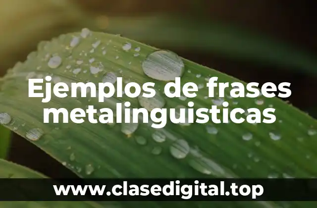 Ejemplos de frases metalinguisticas