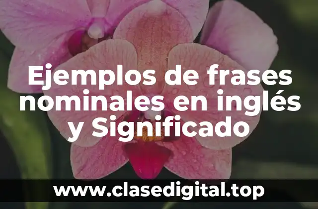 Ejemplos de frases nominales en inglés y Significado