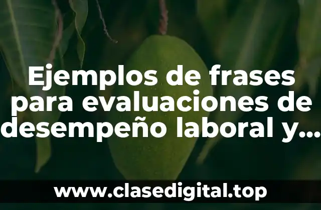 Ejemplos de frases para evaluaciones de desempeño laboral