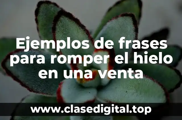 Ejemplos de frases para romper el hielo en una venta