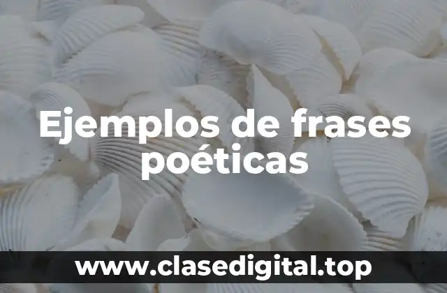 Ejemplos de frases poéticas