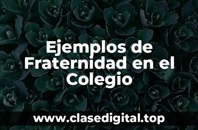 Ejemplos de Fraternidad en el Colegio