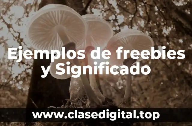 Ejemplos de freebies y Significado