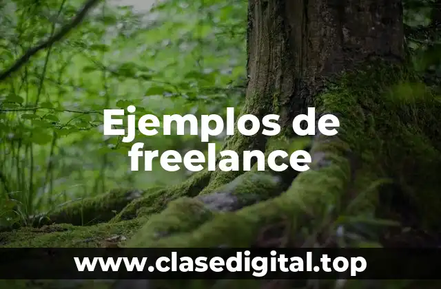 Ejemplos de freelance