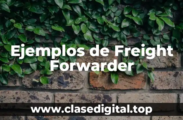 Ejemplos de Freight Forwarder