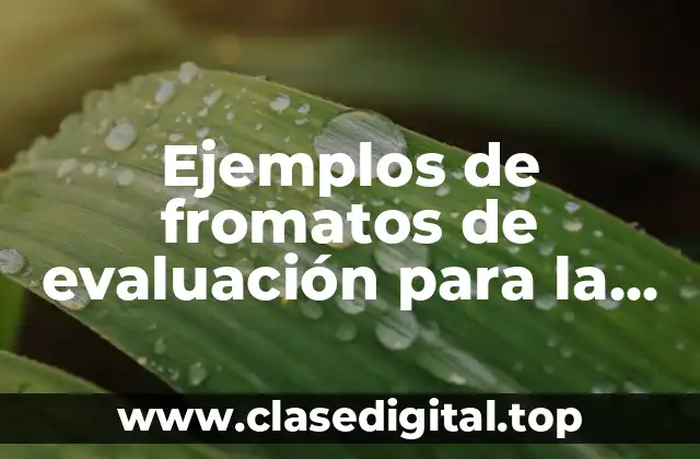 Ejemplos de fromatos de evaluación para la evaluación psicológica
