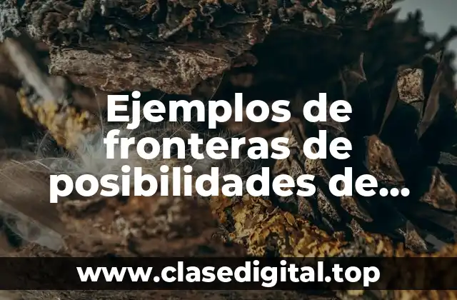 Ejemplos de fronteras de posibilidades de producción