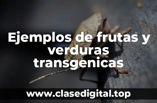 Ejemplos de frutas y verduras transgenicas
