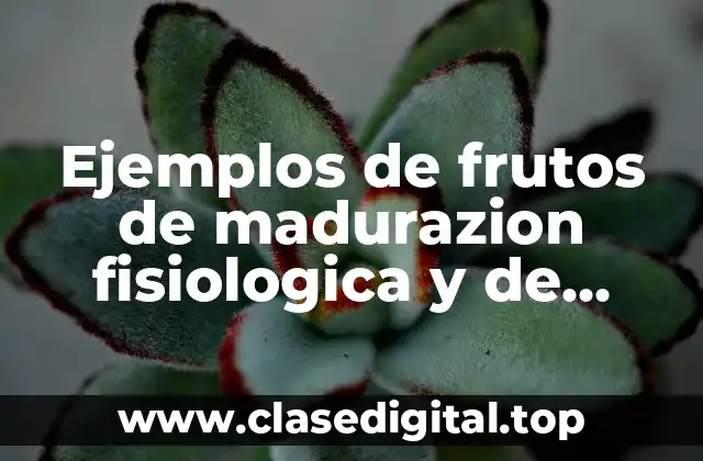 Ejemplos de frutos de madurazion fisiologica y de consumo