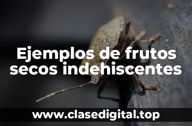 Ejemplos de frutos secos indehiscentes