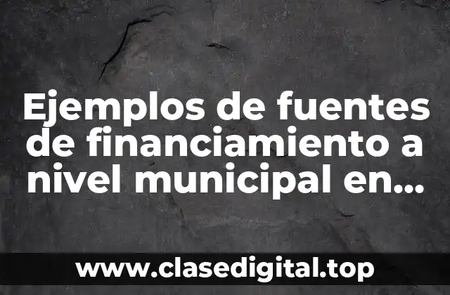 Ejemplos de fuentes de financiamiento a nivel municipal en Campeche y Significado