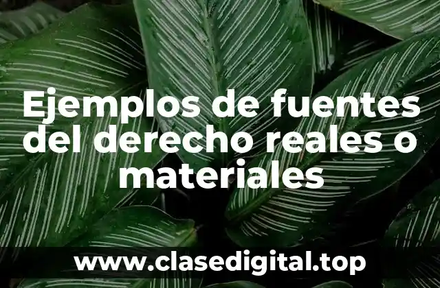 Ejemplos de fuentes del derecho real o material