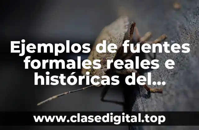Ejemplos de fuentes formales reales e históricas del derecho