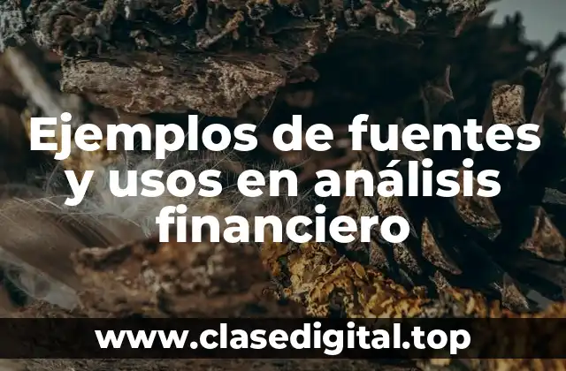 Ejemplos de fuentes y usos en análisis financiero