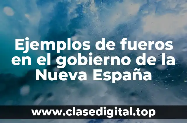 Ejemplos de fueros en el gobierno de la Nueva España