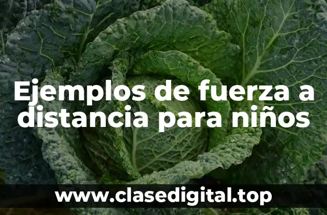 Ejemplos de fuerza a distancia para niños