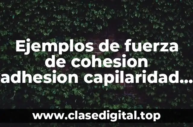 Ejemplos de fuerza de cohesion adhesion capilaridad y tension superficial