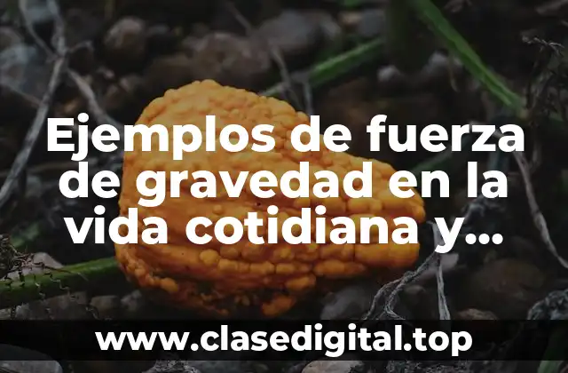 Ejemplos de fuerza de gravedad en la vida cotidiana y Significado