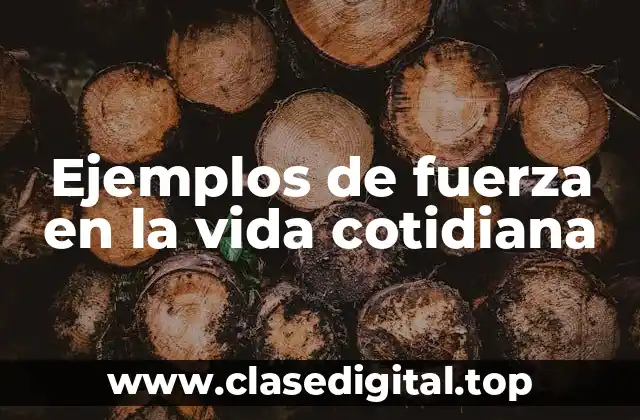Ejemplos de fuerza en la vida cotidiana