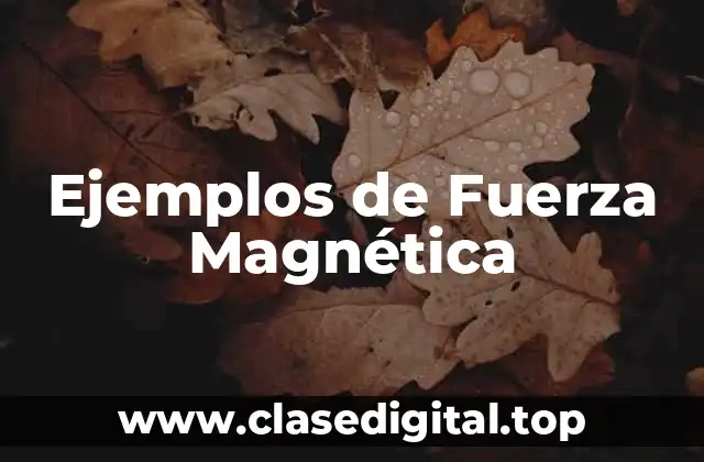 Ejemplos de Fuerza Magnética