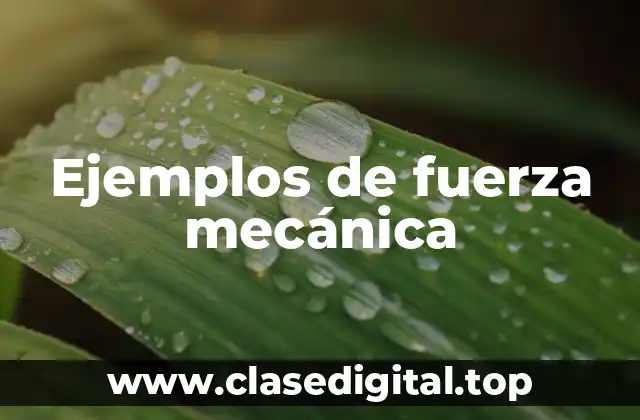 Ejemplos de fuerza mecánica