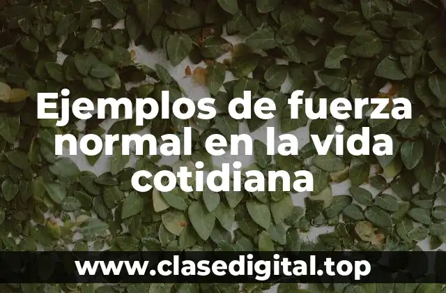 Ejemplos de fuerza normal en la vida cotidiana