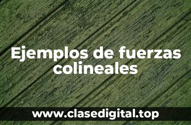 Ejemplos de fuerzas colineales