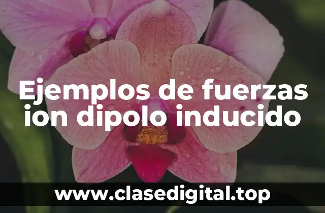 Ejemplos de fuerzas ion dipolo inducido