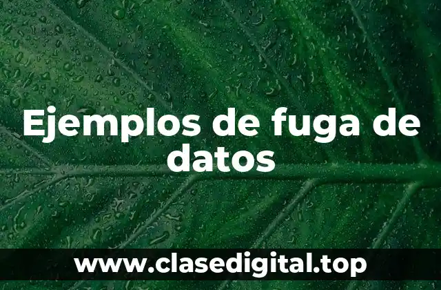 Ejemplos de fuga de datos
