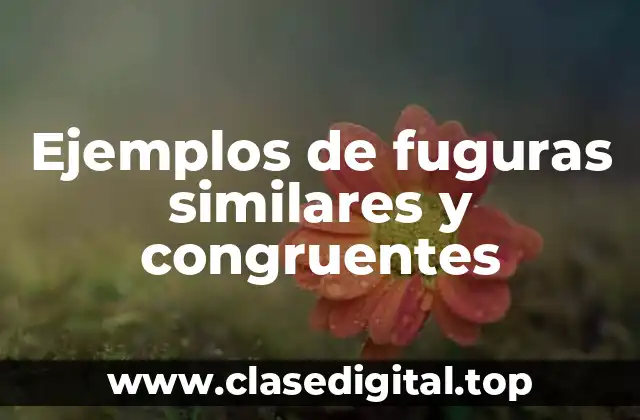 Ejemplos de fuguras similares y congruentes