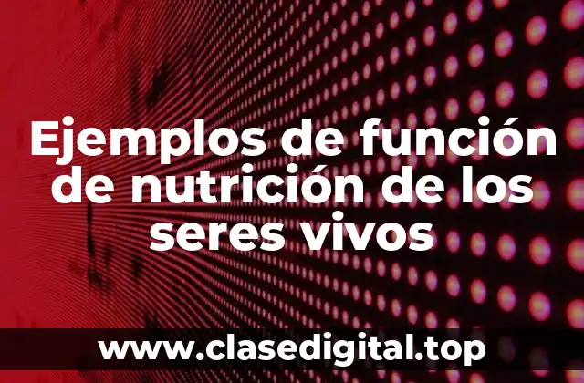Ejemplos de función de nutrición de los seres vivos