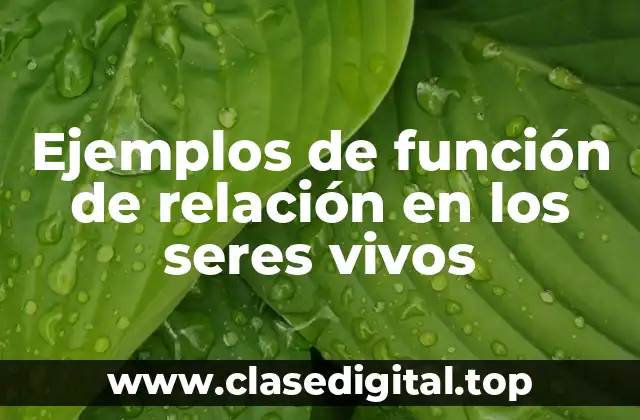 Ejemplos de función de relación en los seres vivos