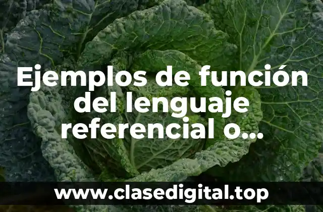 Ejemplos de la función del lenguaje referencial o representativa
