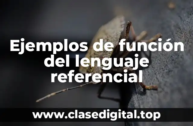 Ejemplos de función del lenguaje referencial