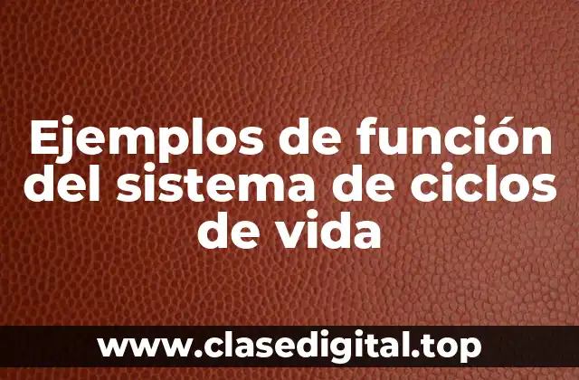 Ejemplos de función del sistema de ciclos de vida