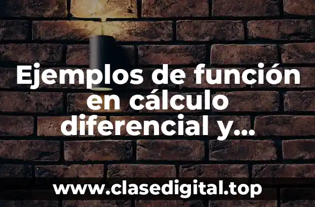 Ejemplos de función en cálculo diferencial y Significado