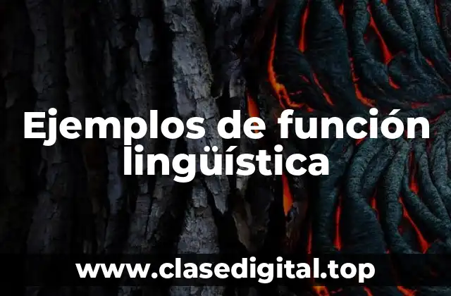 Ejemplos de función lingüística