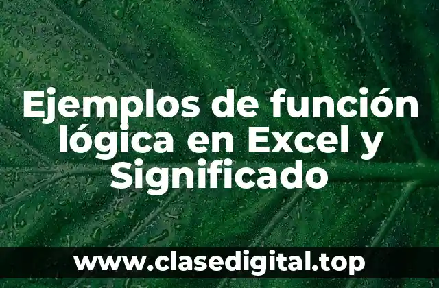 Ejemplos de función lógica en Excel y Significado