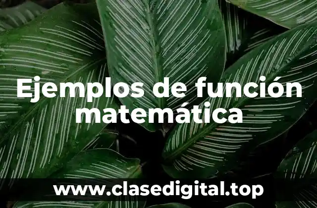 Ejemplos de función matemática