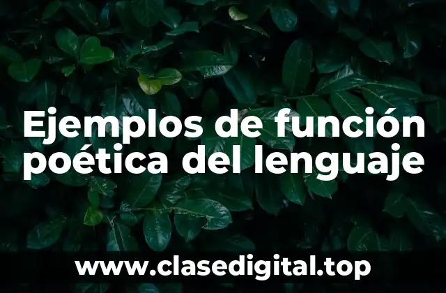 Ejemplos de función poética del lenguaje