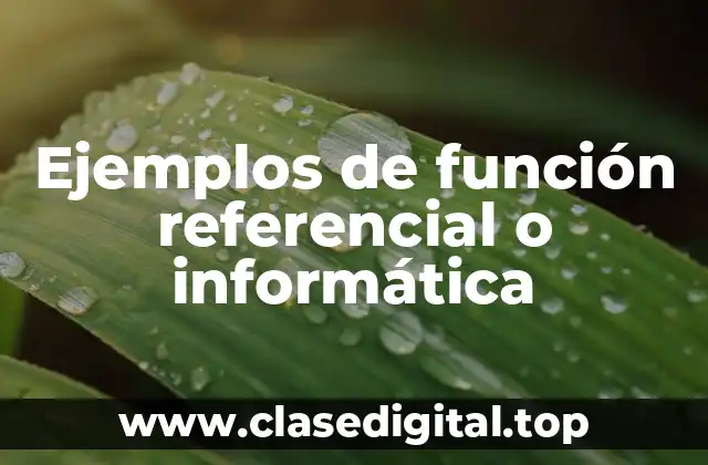 Ejemplos de función referencial o informática