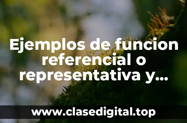 Ejemplos de funcion referencial o representativa y Significado