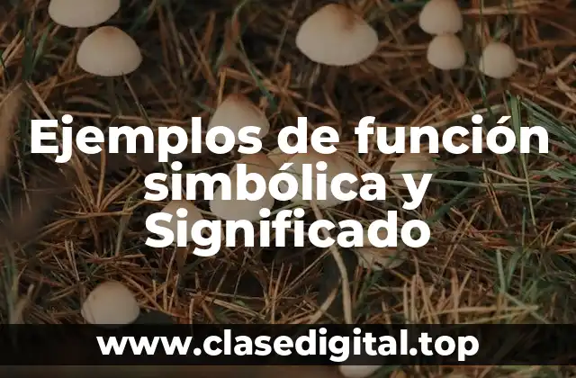Ejemplos de función simbólica y Significado