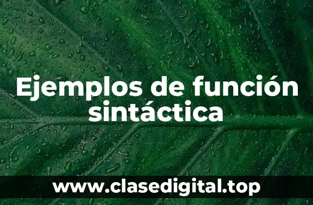 Ejemplos de función sintáctica