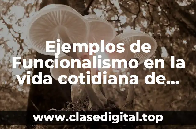 Ejemplos de funcionalismo en la vida cotidiana