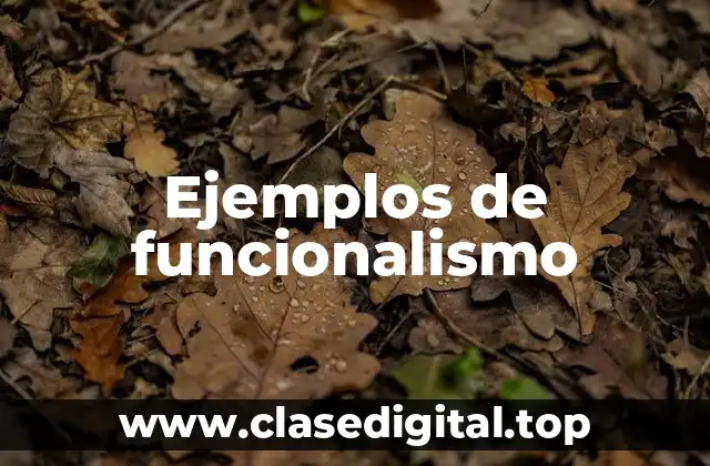 Ejemplos de funcionalismo
