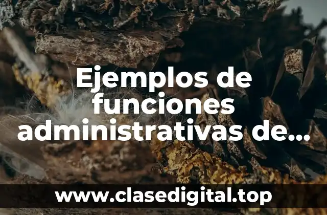 Ejemplos de funciones administrativas de enfermería en la unidad