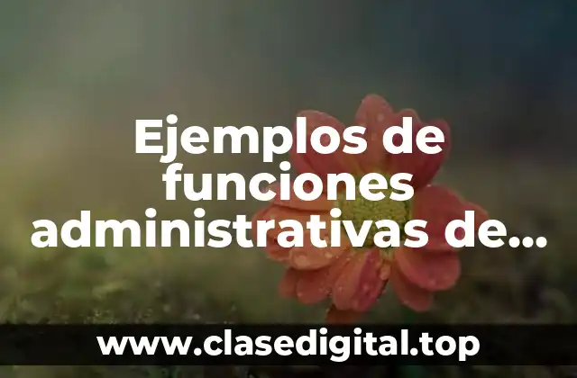 Ejemplos de funciones administrativas de una empresa