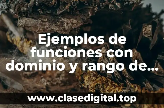 Ejemplos de funciones con dominio y rango de cosas cotidianas